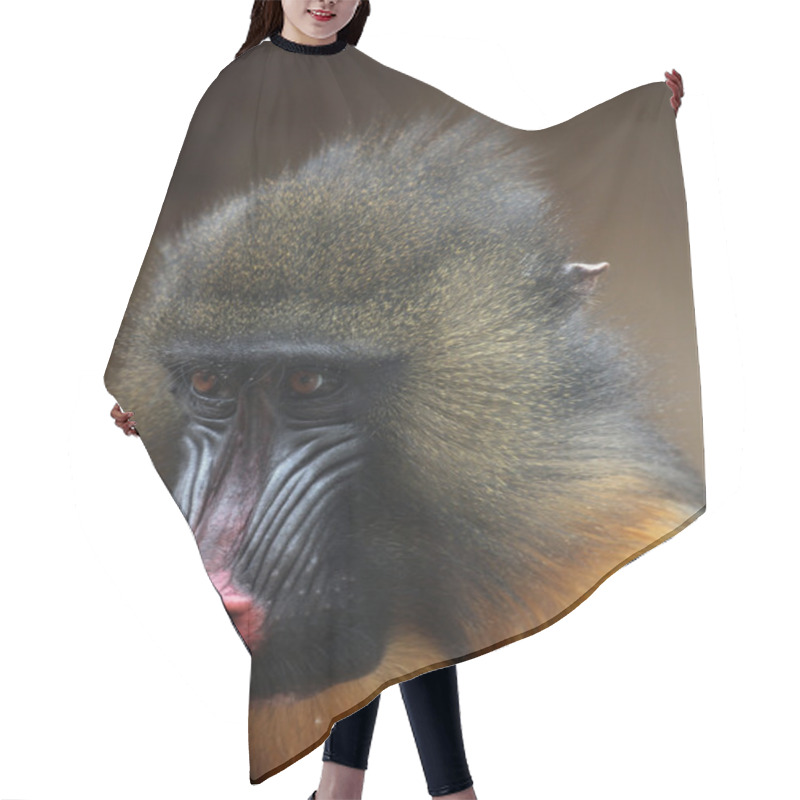 Personality  Wild Mandrill Animal Hair Cutting Cape