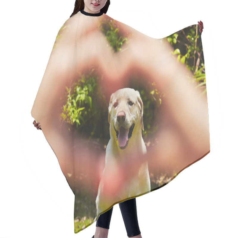 Personality  Loyalty Dog Hair Cutting Cape