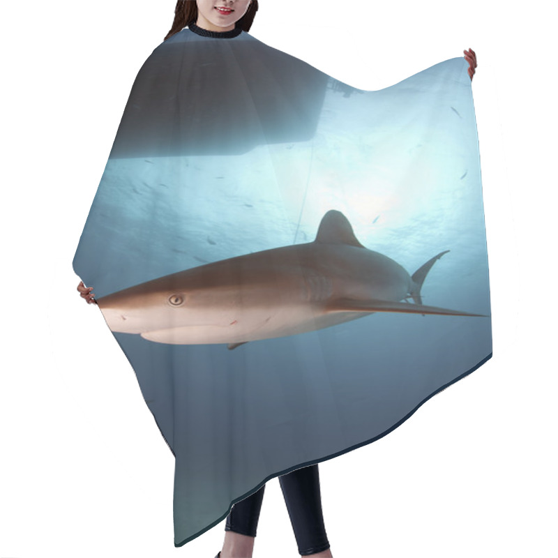 Personality  Caribbean Reef Shark Hair Cutting Cape