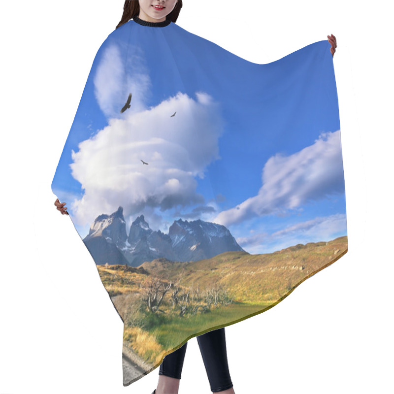 Personality  Above The Valley Flying Flock Of Andean Condors Hair Cutting Cape