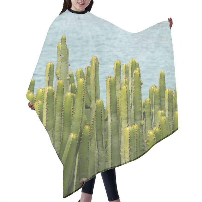 Personality  Canary Island Spurge Hair Cutting Cape