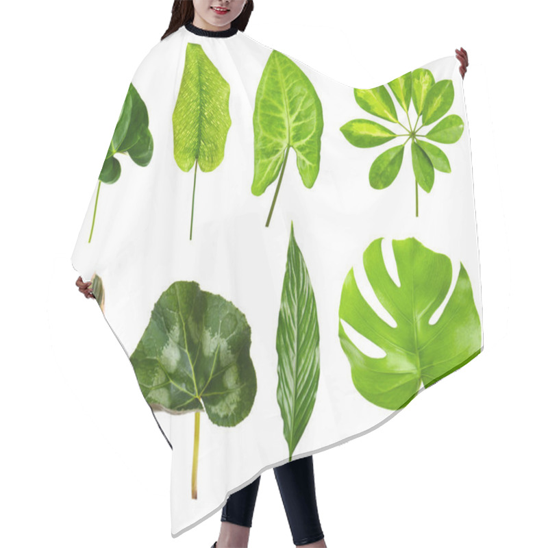 Personality  Different Houseplants Leaves Hair Cutting Cape