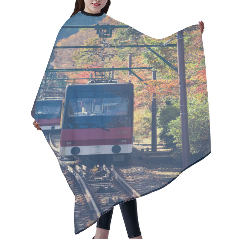 Personality  Mountain Landscape With Railway Bridge Hair Cutting Cape