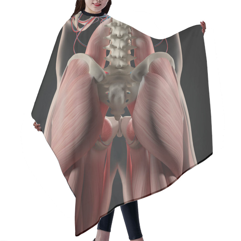 Personality  Human Spine And Pelvis Anatomy Model Hair Cutting Cape