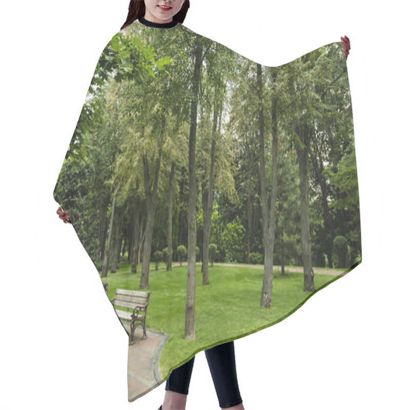 Personality  Wooden Bench Near Path And Trees On Fresh Grass  Hair Cutting Cape