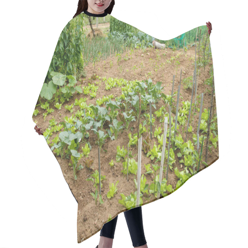 Personality  Growing Food In Vegetable Garden Hair Cutting Cape