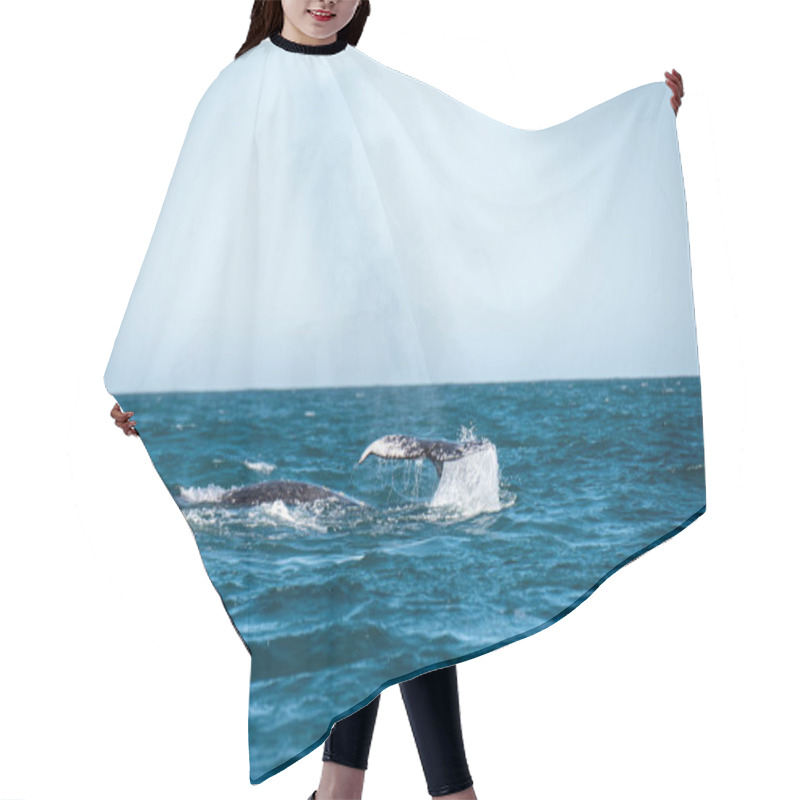 Personality  Beautiful Whale In The Ocean Hair Cutting Cape