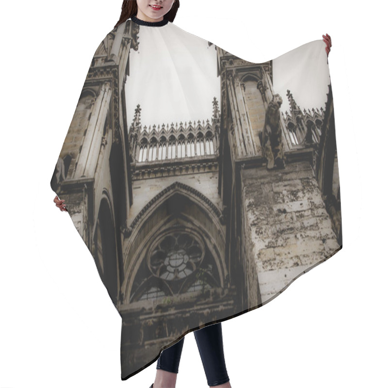 Personality  View Of The Cathedral Notre Dame Of Reims In France Hair Cutting Cape