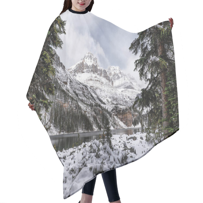 Personality  Snowy Rocky Mountains With Pine Tree On Lake O'hara In Winter At Yoho National Park, Canada Hair Cutting Cape