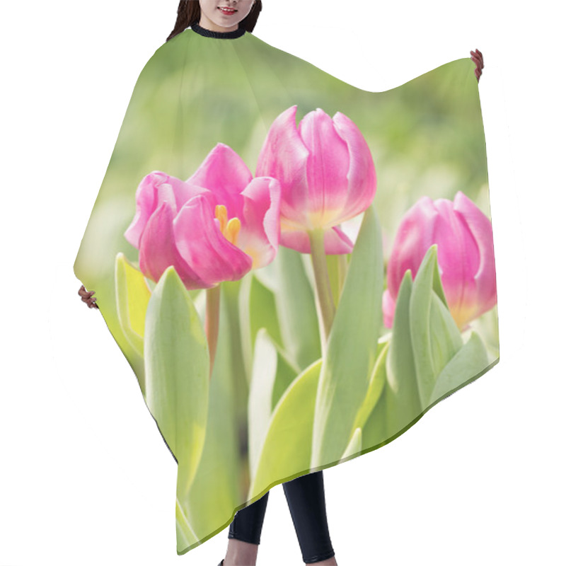 Personality  Pink Tulips In The Garden With Dof Hair Cutting Cape