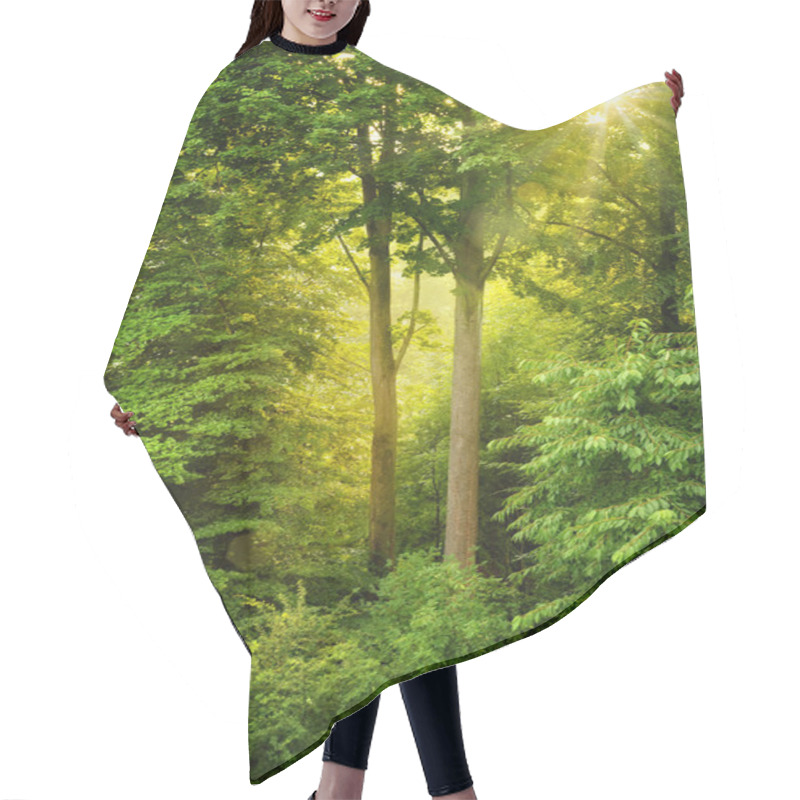 Personality  Golden Sun Shining Through Fresh Foliage Hair Cutting Cape