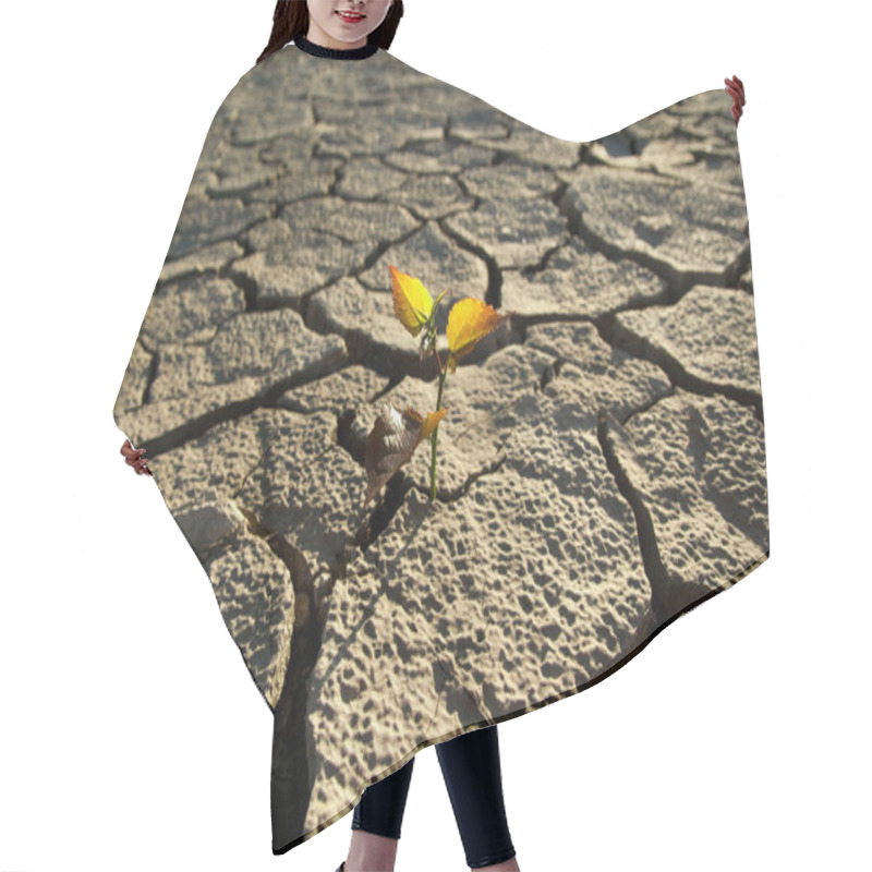 Personality  Cracked Lifeless Soil Hair Cutting Cape