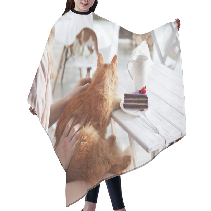 Personality  Woman Sitting In Cat Cafe Hair Cutting Cape