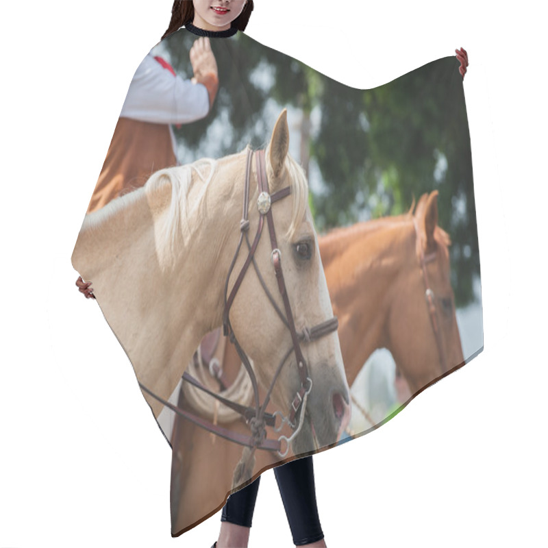 Personality  Parade Horse With Rider Moving Forward Hair Cutting Cape