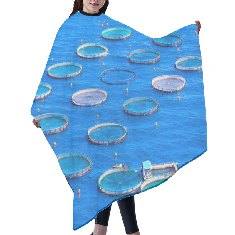 Personality  Fish Farm With Floating Cages In Greece Hair Cutting Cape