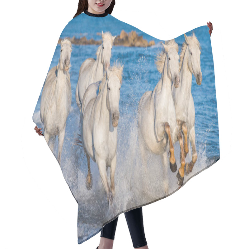 Personality  White Camargue Horses Galloping On Blue Water Of The Sea. France. Hair Cutting Cape