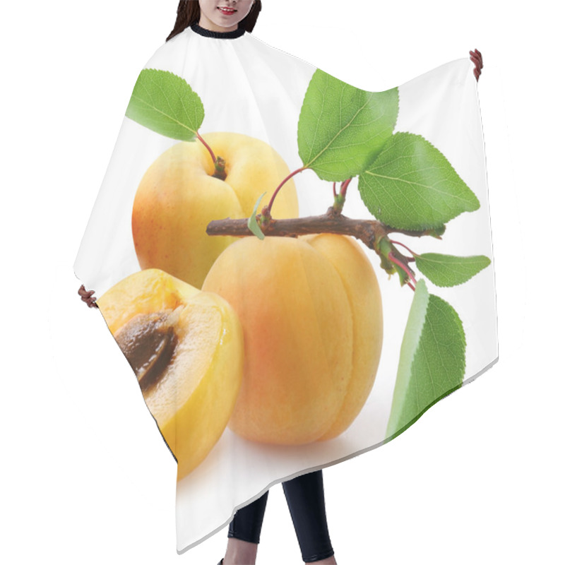 Personality  Apricots with leaves on a white background. hair cutting cape