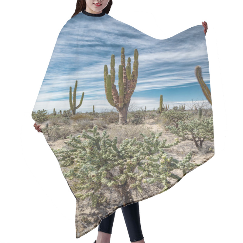 Personality  Mexican Desert With Giant Cactuses And Succulents Hair Cutting Cape