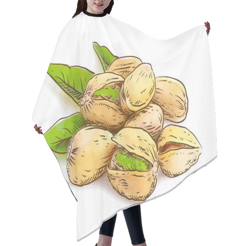 Personality  Pistachios. Vector Illustration. Hair Cutting Cape