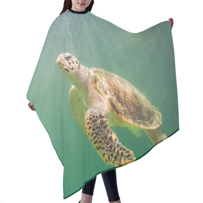 Personality  Marine Turtle Under The Deep Green Sea Hair Cutting Cape