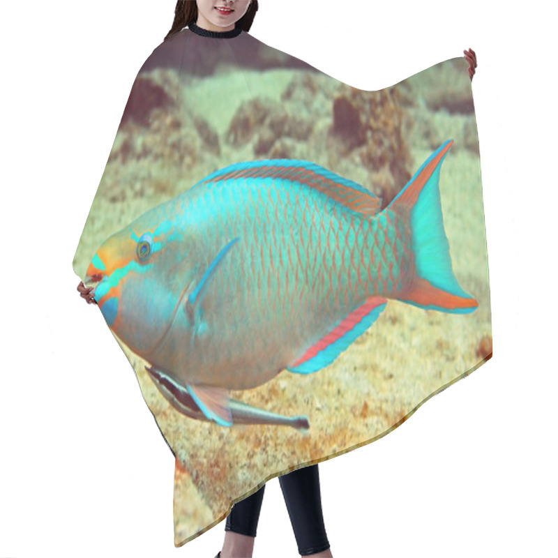 Personality  Parrot Fish And Hitch Hiker Hair Cutting Cape