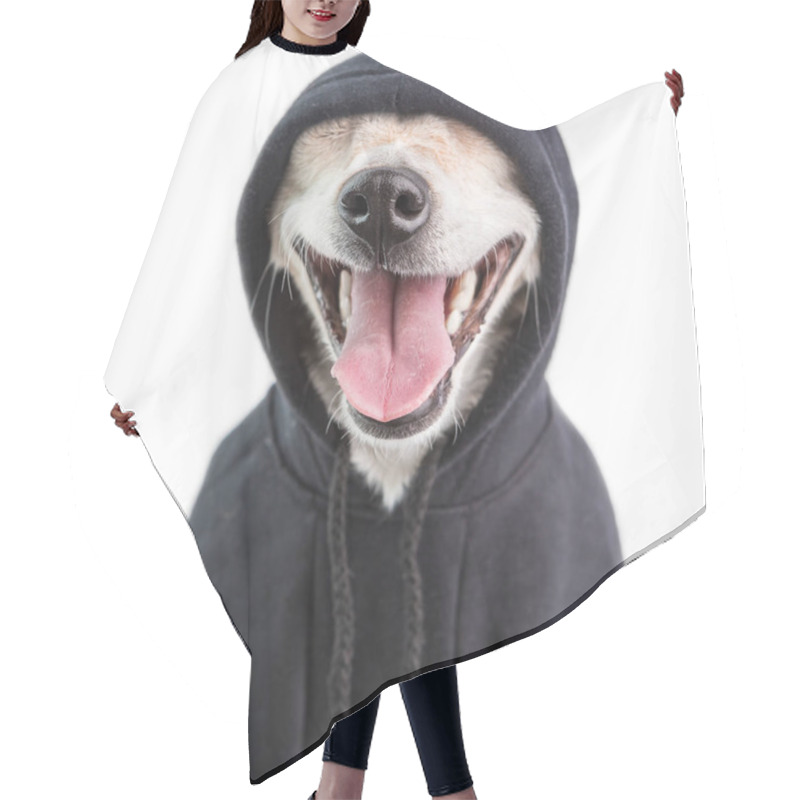 Personality  Adorable Smiling Hoodie Dog Muzle. Charming Gangster Pet Face. White Background Hair Cutting Cape