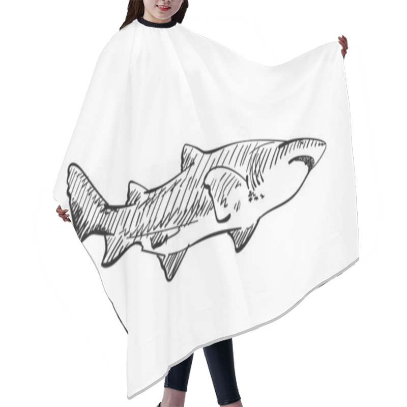 Personality  Sketch Of Shark, Hand Drawn Illustration With Hatched Shades Hair Cutting Cape