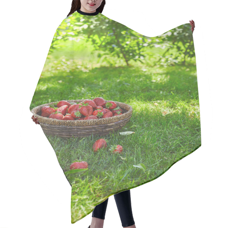 Personality  Red Fresh Strawberries In Wicker Basket On Green Grass In Garden  Hair Cutting Cape