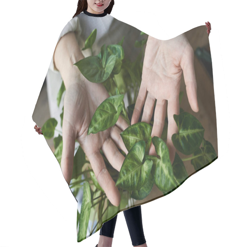 Personality  Gardener Nurturing Lush Greenery In Her Peaceful Creative Space. Hair Cutting Cape