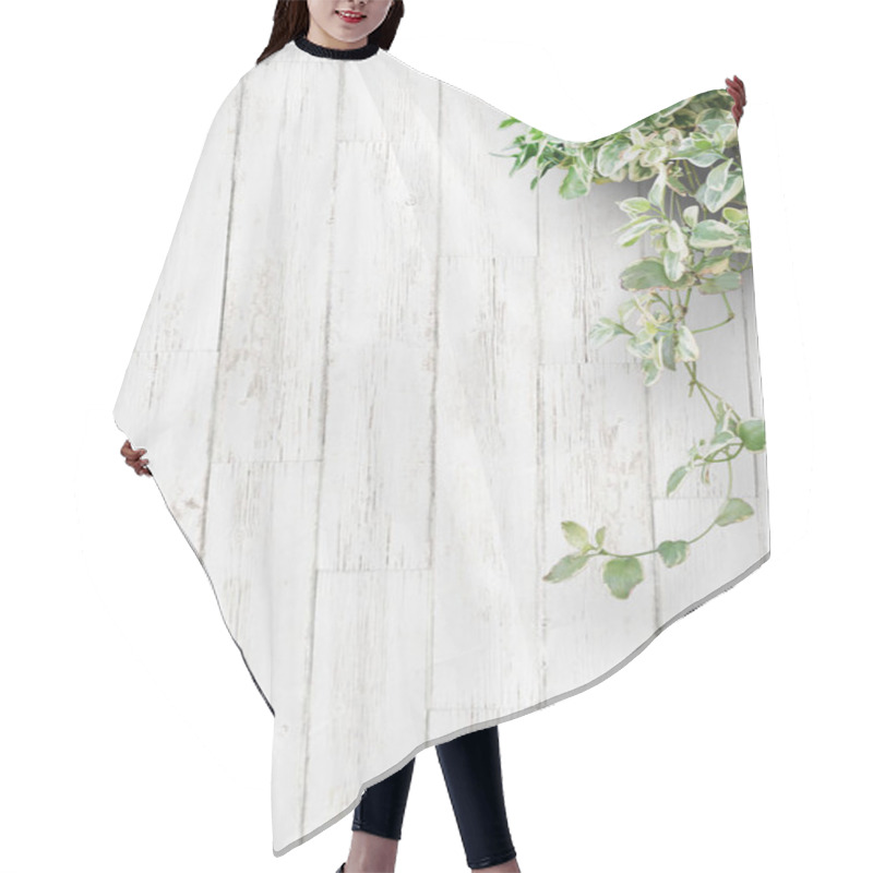 Personality  White Background Planks And Houseplants Hair Cutting Cape