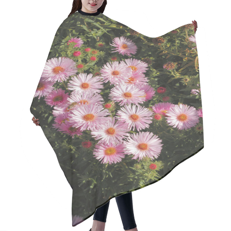 Personality  Blooming Asters Hair Cutting Cape