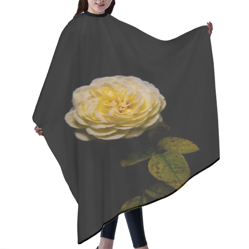 Personality  Yellow Roses Blooming On A Dark Background Hair Cutting Cape