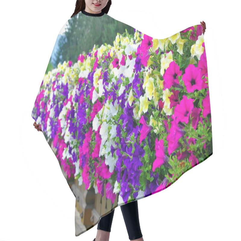 Personality  Petunia In Alps Hair Cutting Cape