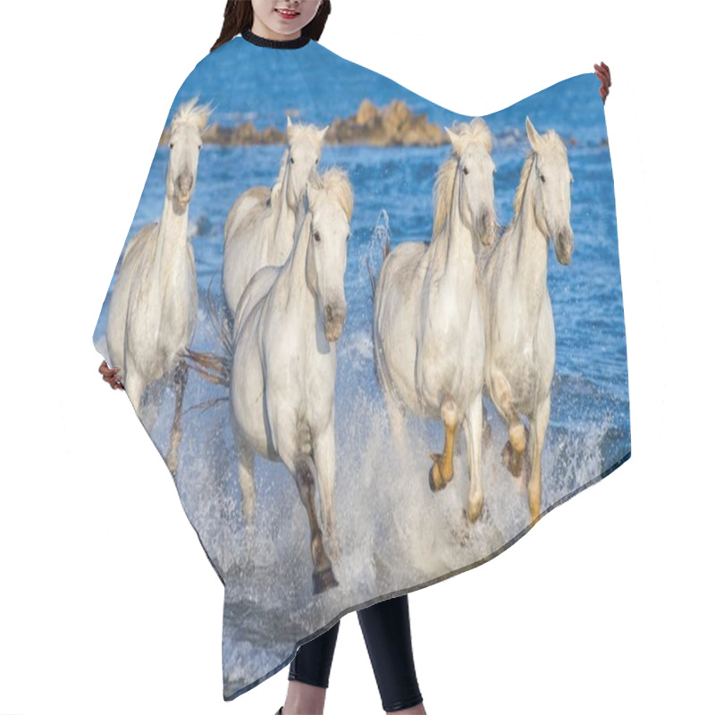 Personality  White Camargue Horses Galloping On Blue Water Of The Sea. France. Hair Cutting Cape