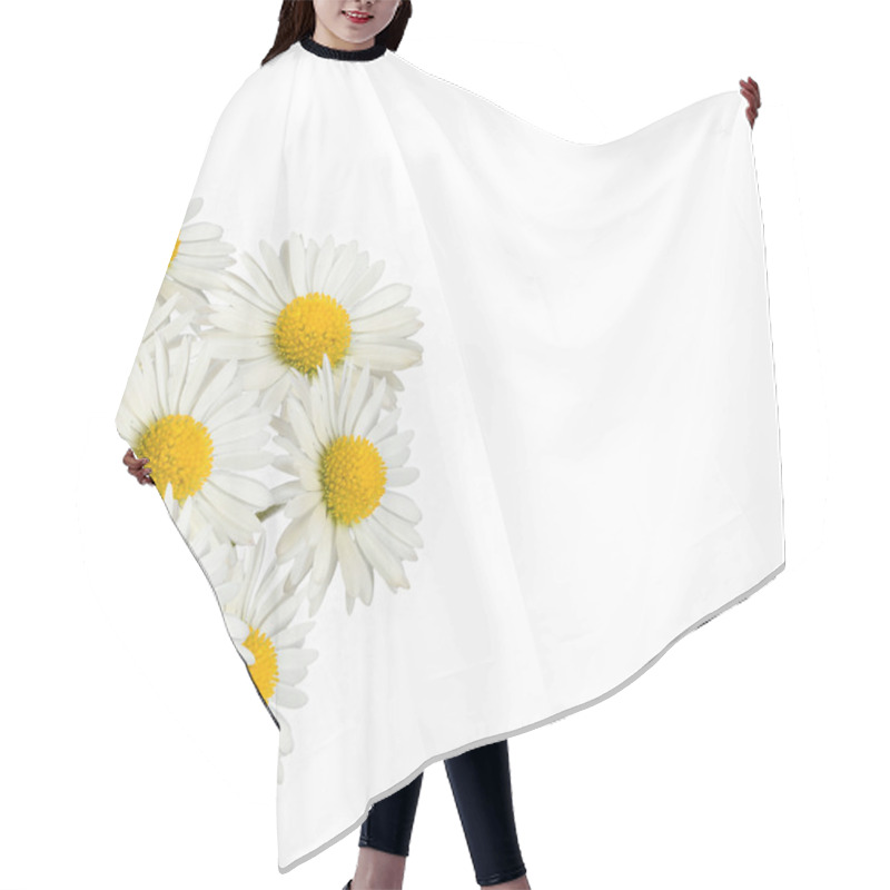 Personality  Bouquet Of Daisies Hair Cutting Cape