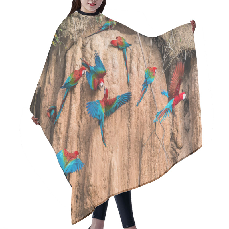 Personality  Macaws In Clay Lick Hair Cutting Cape