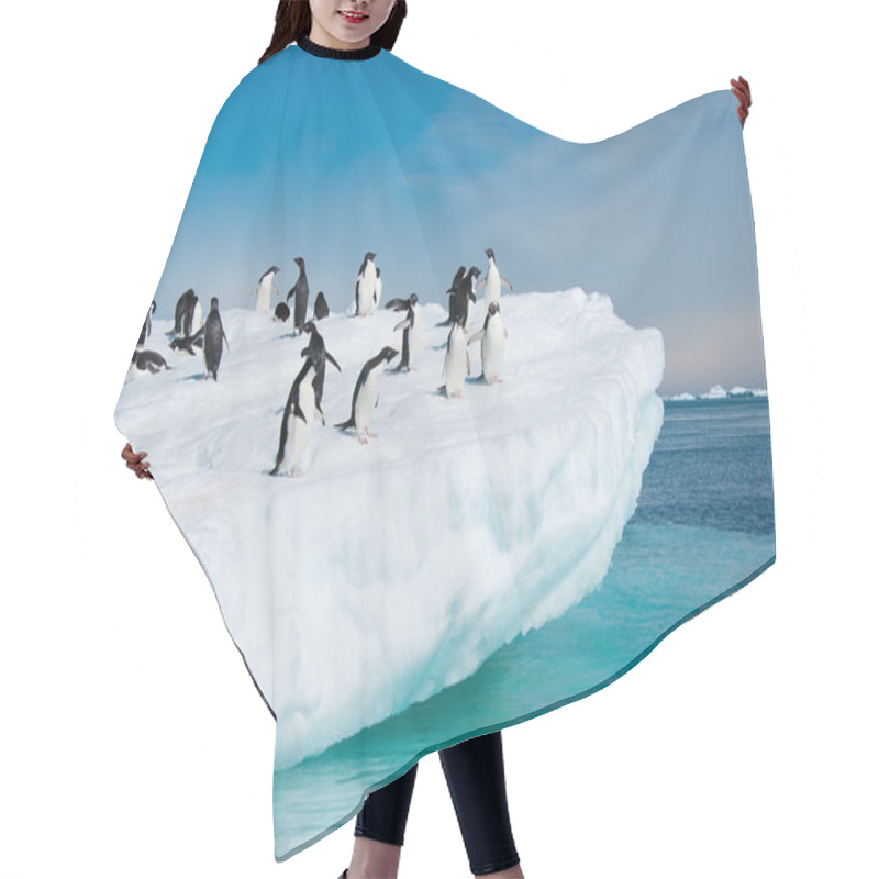 Personality  Adelie Penguins Jumping From Iceberg Hair Cutting Cape