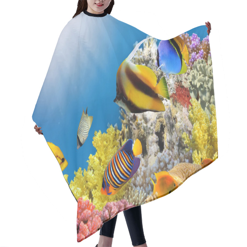 Personality  Photo Of A Coral Colony On A Reef Top Hair Cutting Cape