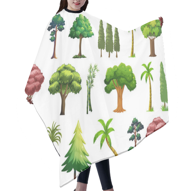 Personality  Set Of Variety Plants And Trees Illustration Hair Cutting Cape