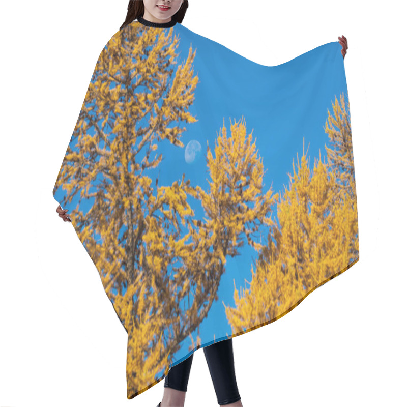 Personality  Bright Yellow Autumn Trees With A Visible Moon And A Clear Blue Sky Symbolize The Beauty Of Nature. The Foliage Contrasts Against The Crisp Atmosphere Creating An Enchanting Seasonal Scene. Hair Cutting Cape