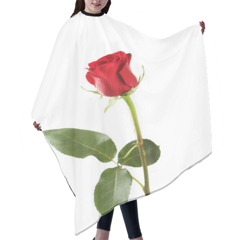 Personality  Fresh Red Rose Hair Cutting Cape