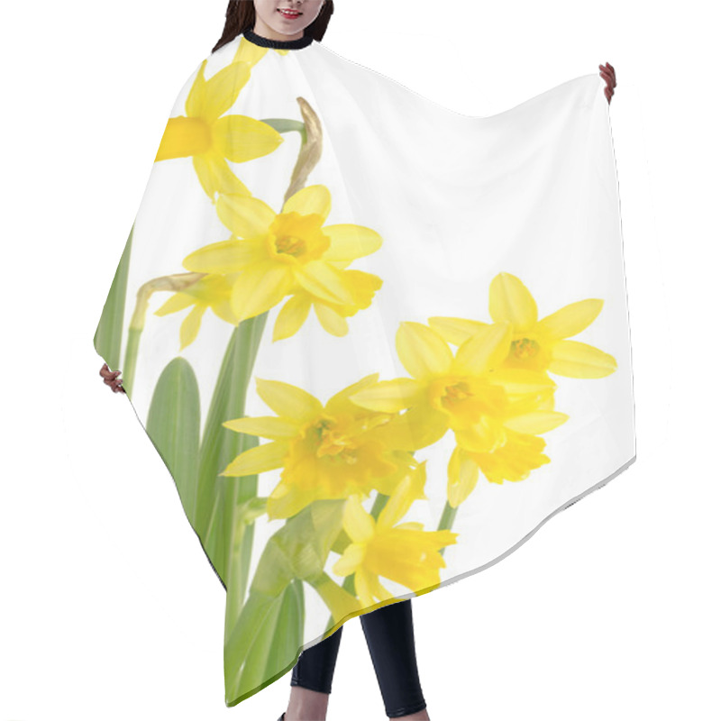 Personality  Yellow Daffodil Flowers As A Border Hair Cutting Cape