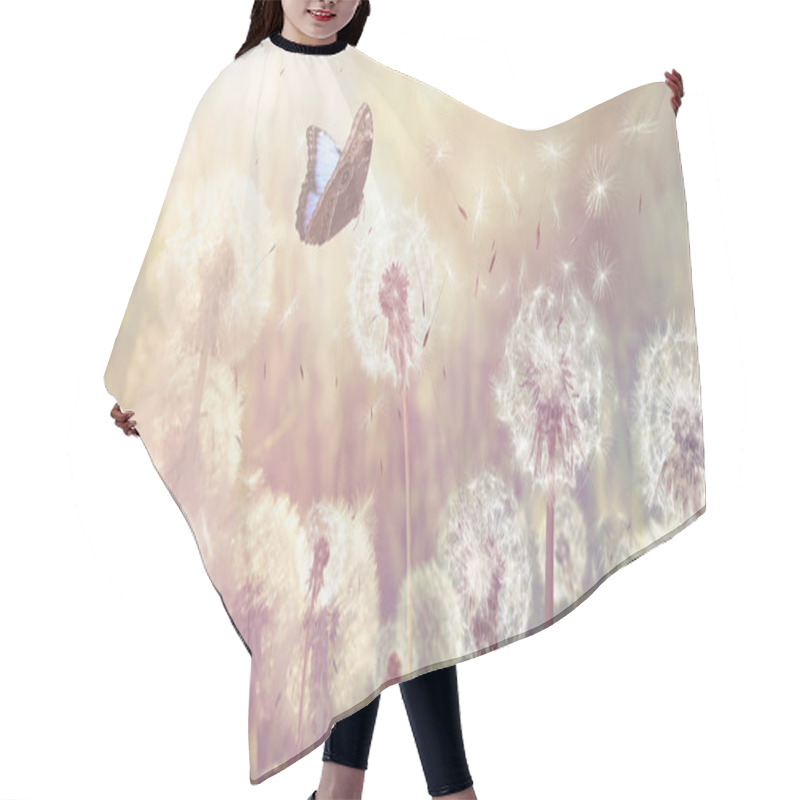 Personality  Beautiful Butterfly And Delicate Fluffy Dandelions On Sunny Day. Banner Design Hair Cutting Cape