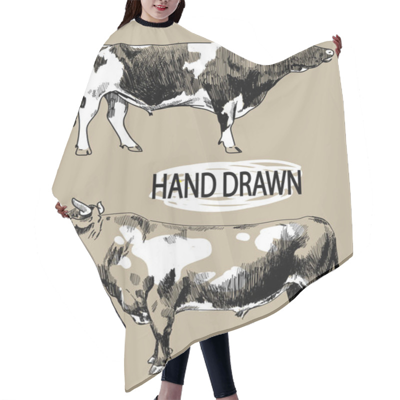 Personality  Set Of Images Of A Cow. Image Set Of Farm Animals. . Vintage Style Image, Vintage Image. Freehand Drawing. Meat And Milk. Hair Cutting Cape