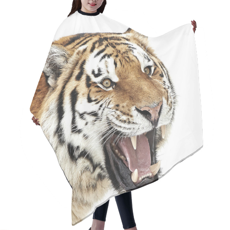 Personality  Amur Tiger (Panthera Tigris Altaica) Hair Cutting Cape