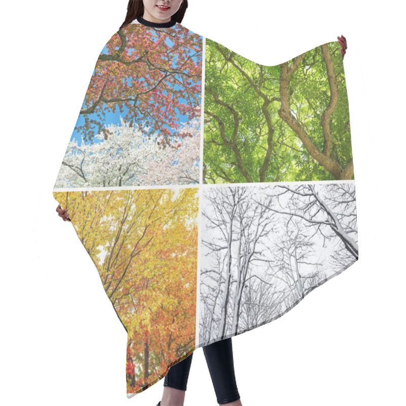 Personality  Trees In Spring, Summer, Autumn And Winter Hair Cutting Cape