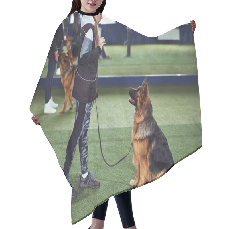 Personality  Professional Trainer Teaching An Obedient Dog The Stay Command Hair Cutting Cape