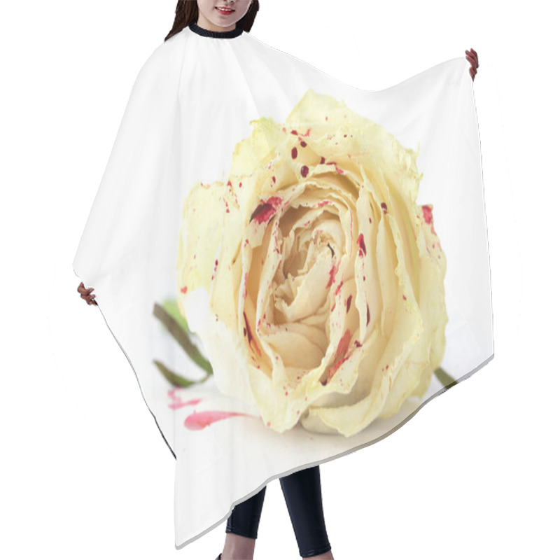 Personality  White Rose In Blood On White Background. Not Isolated Hair Cutting Cape