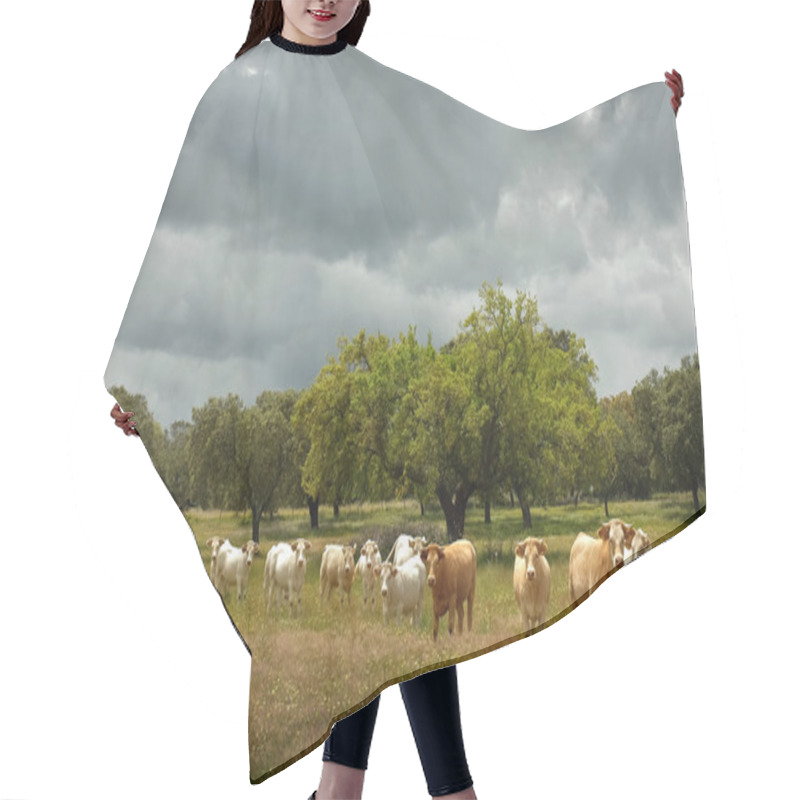 Personality  Landscape With Field And A Herd Of Cows Pasturing Hair Cutting Cape