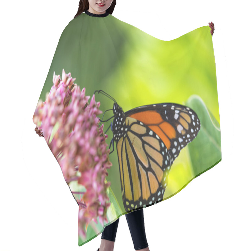 Personality  Monarch Butterfly On Milkweed Flower Hair Cutting Cape